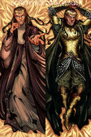 armor artist:SCUMSUCK big_forehead character:elrond commission dakimakura robe series:lord_of_the_rings // 2000x3000 // 1.6MB