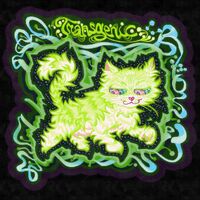 animal cat character:randy_(cat) green series:sticker_club sticker // 1280x1280 // 640KB