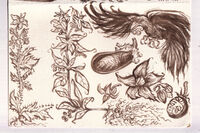 animal brown medium:trad_ink plants raven walnut_ink // 1000x667 // 525KB