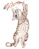 animal artist:SCUMSUCK brown cat commission lettering medium:trad_ink series:pets // 1000x1250 // 192KB