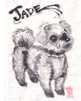 animal dog medium:trad_doodle medium:trad_ink_wash request series:pets // 1492x1865 // 450KB